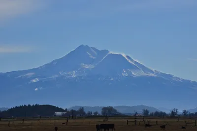 DSC_6039 (Large).JPG